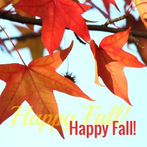 autumn-leaves-with-the-words-hello-fall