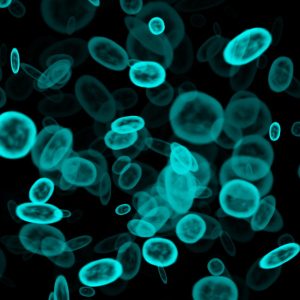 graphic-of-microbes-on-a-black-background